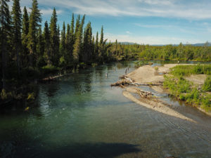 Salmon River - Tributary of the Aniak River.